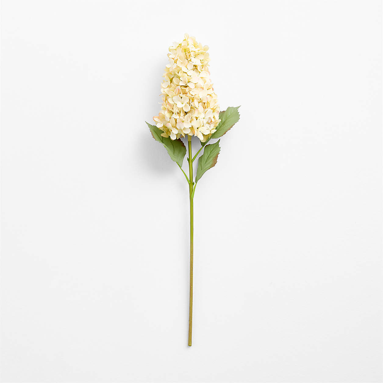 Faux White Cone Hydrangea Stem 31" | Crate & Barrel | Crate & Barrel