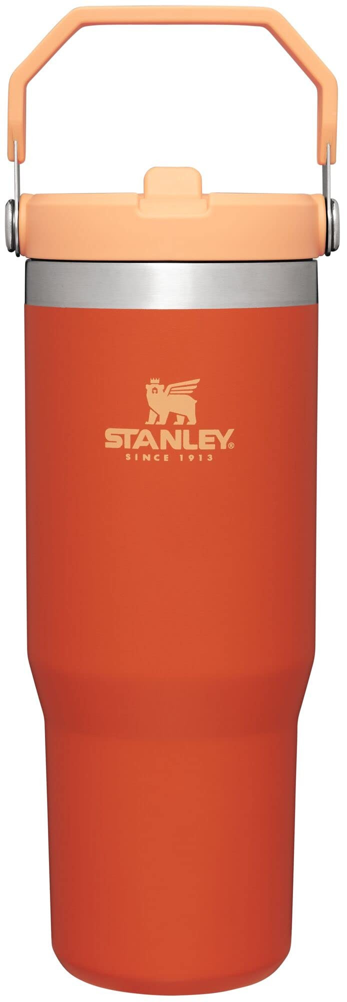 Stanley IceFlow Stainless Steel Tumbler with Straw - Vacuum Insulated Water Bottle for Home, Offi... | Amazon (US)