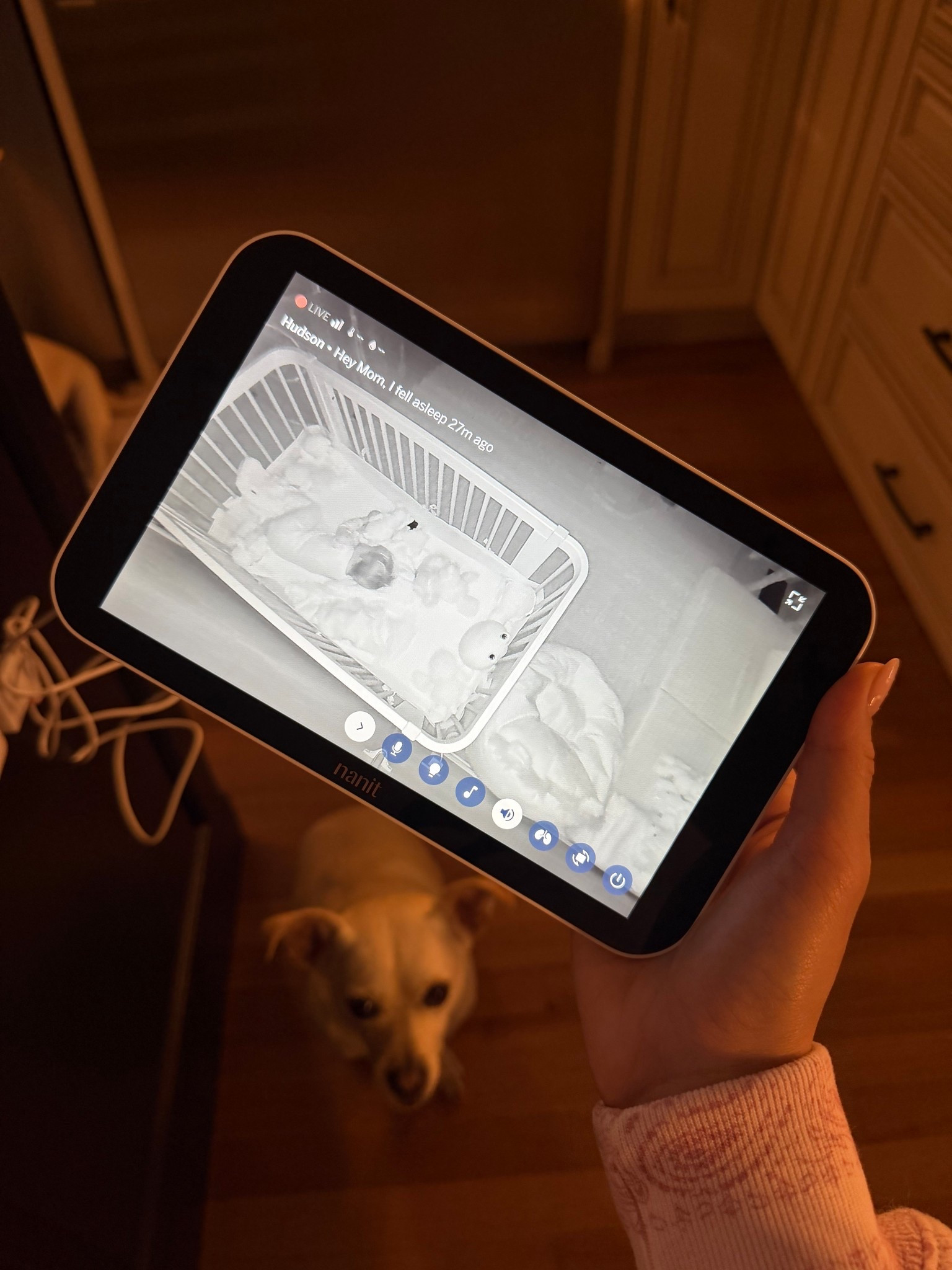 This new monitor is insanely good!!!!!! 