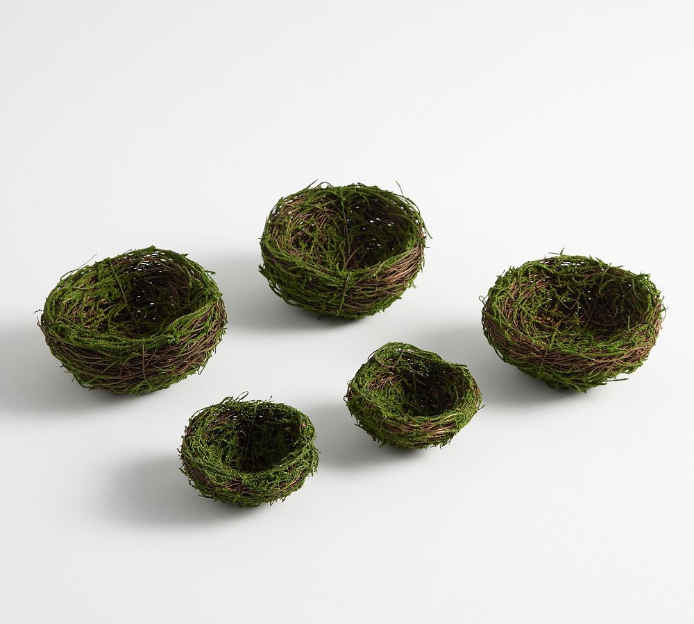 Handcrafted Moss Nests and Faux Eggs | Pottery Barn (US)