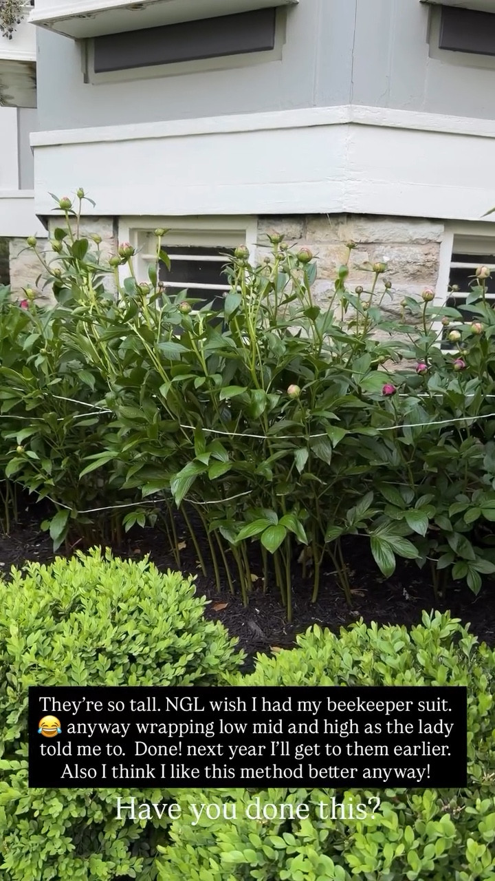 They're so tall. NGL wish I had my beekeeper suit 😂anyway wrapping low mid and high as the lady told me to. Done! next year I'll get to them earlier. Also I think I like this method better anyway! Have you done this? 

#LTKdayinmylife #LTKvlog #LTKHome