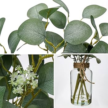 Briful Artificial Eucalyptus Stems in Glass Vase with Faux Water, 14" Fake Plant Eucalyptus Leave... | Amazon (US)
