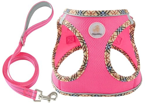 Hipubby Dog Harness Small Sized and Leash Set, No Pull Soft Mesh Puppy Vest, Reflective Breathable Lightweight Pet Harness, Harness for Small Medium Dogs and Cats - Rose Red/Khaki Trim, XS | Amazon (US)