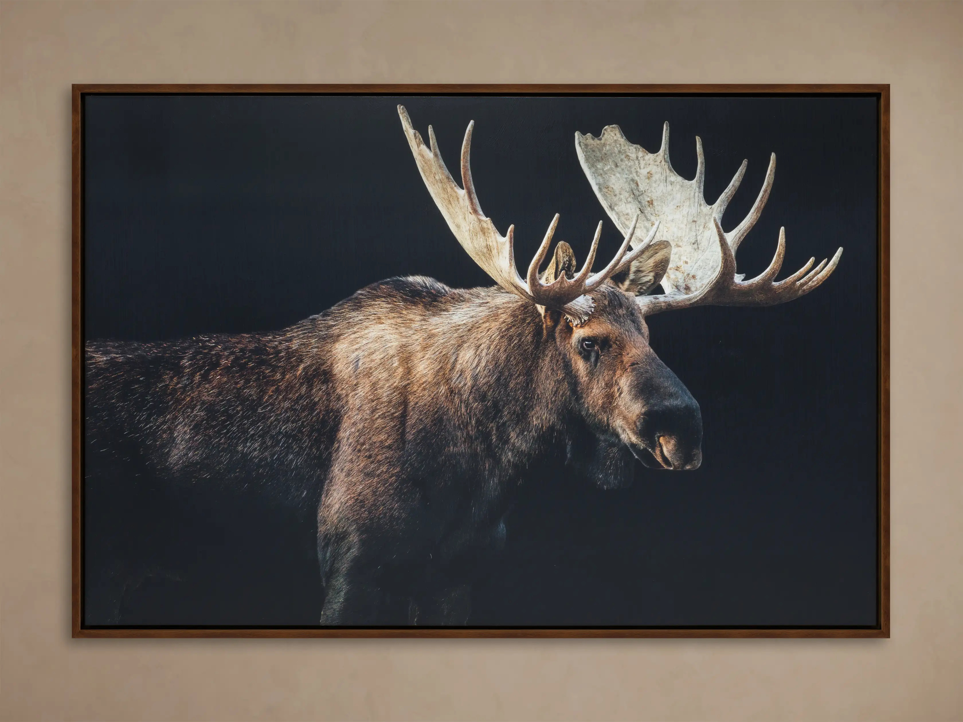 Moose Framed Print | Arhaus