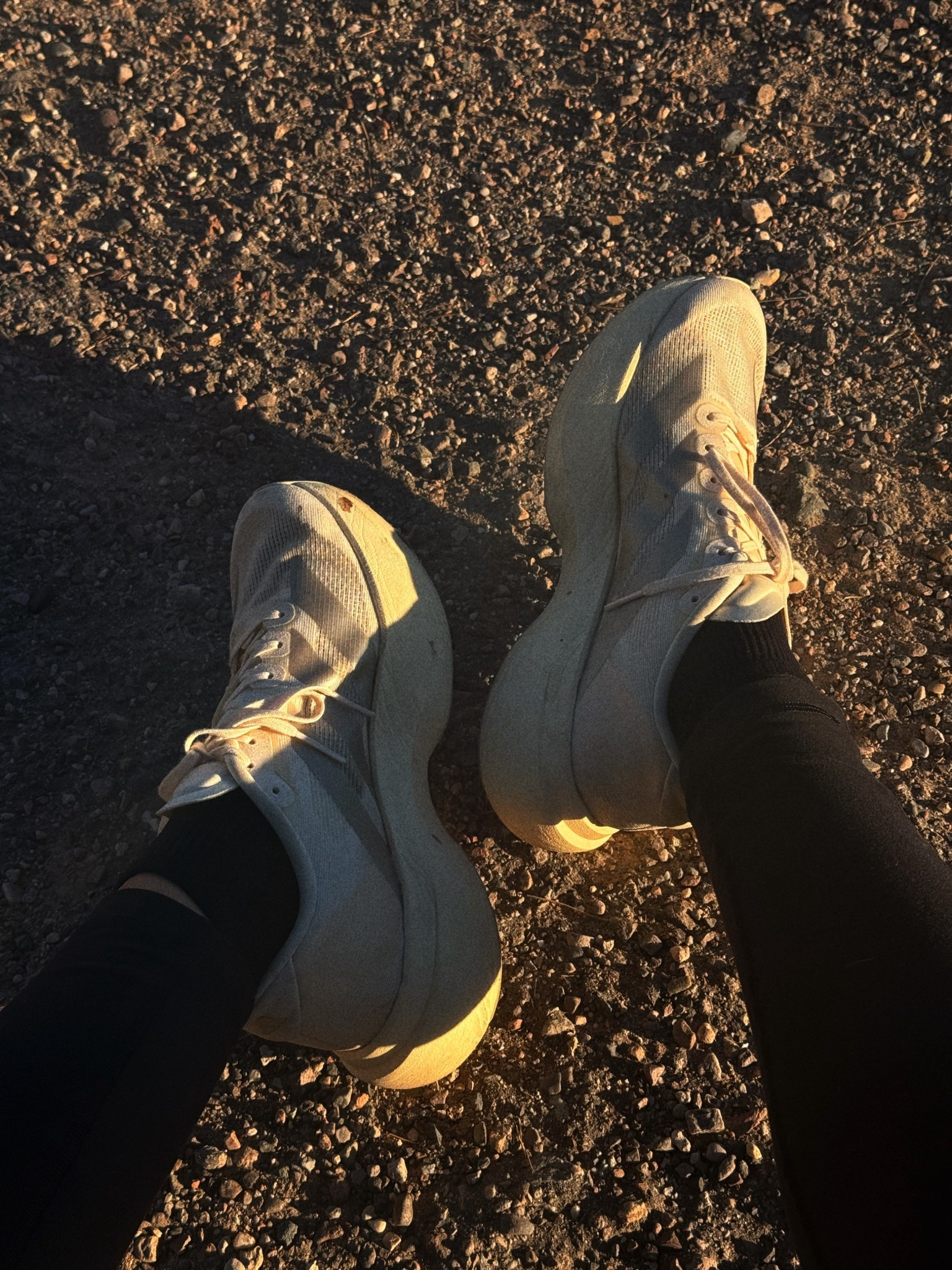 Been using the adidas evo running shoes for about 3 weeks now and I absolutely love them! Great sneaker if you have a neutral foot // very spacious and breathable 

WOMENS sneakers 


#LTKActive #LTKfitnessgoals #LTKdayinmylife