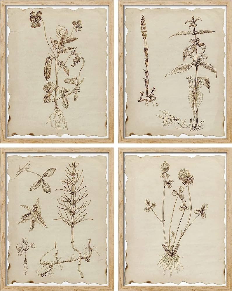 SIGNWIN Framed Sepia Vintage Classic Flower Wall Art, Set of 4 Collage Floral Wall Decor Prints, ... | Amazon (US)