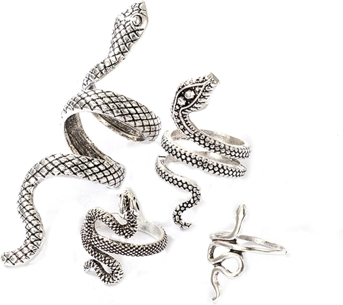 Caiyao 4Pcs Punk Gothic Reptile Serpent Snake Stackable Ring Set for Women Men Friend Vintage Ani... | Amazon (US)