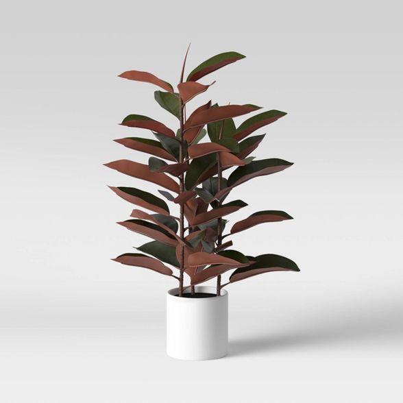 Artificial Rubber Plant in Ceramic Pot - Project 62™ | Target