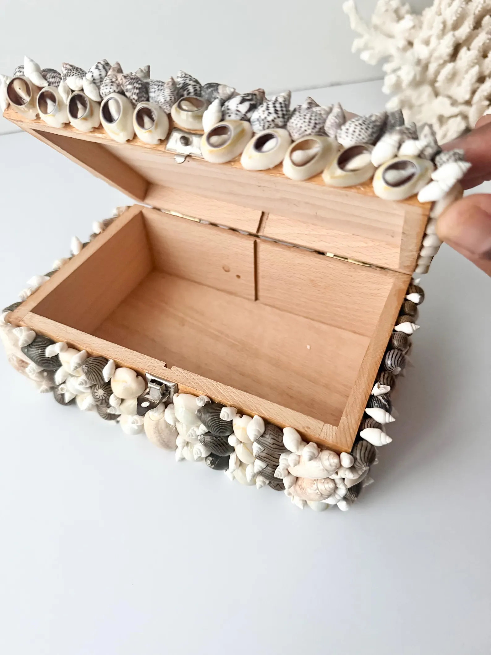 Seashell Encrusted Trinket or Jewelry Box | Etsy (Global)