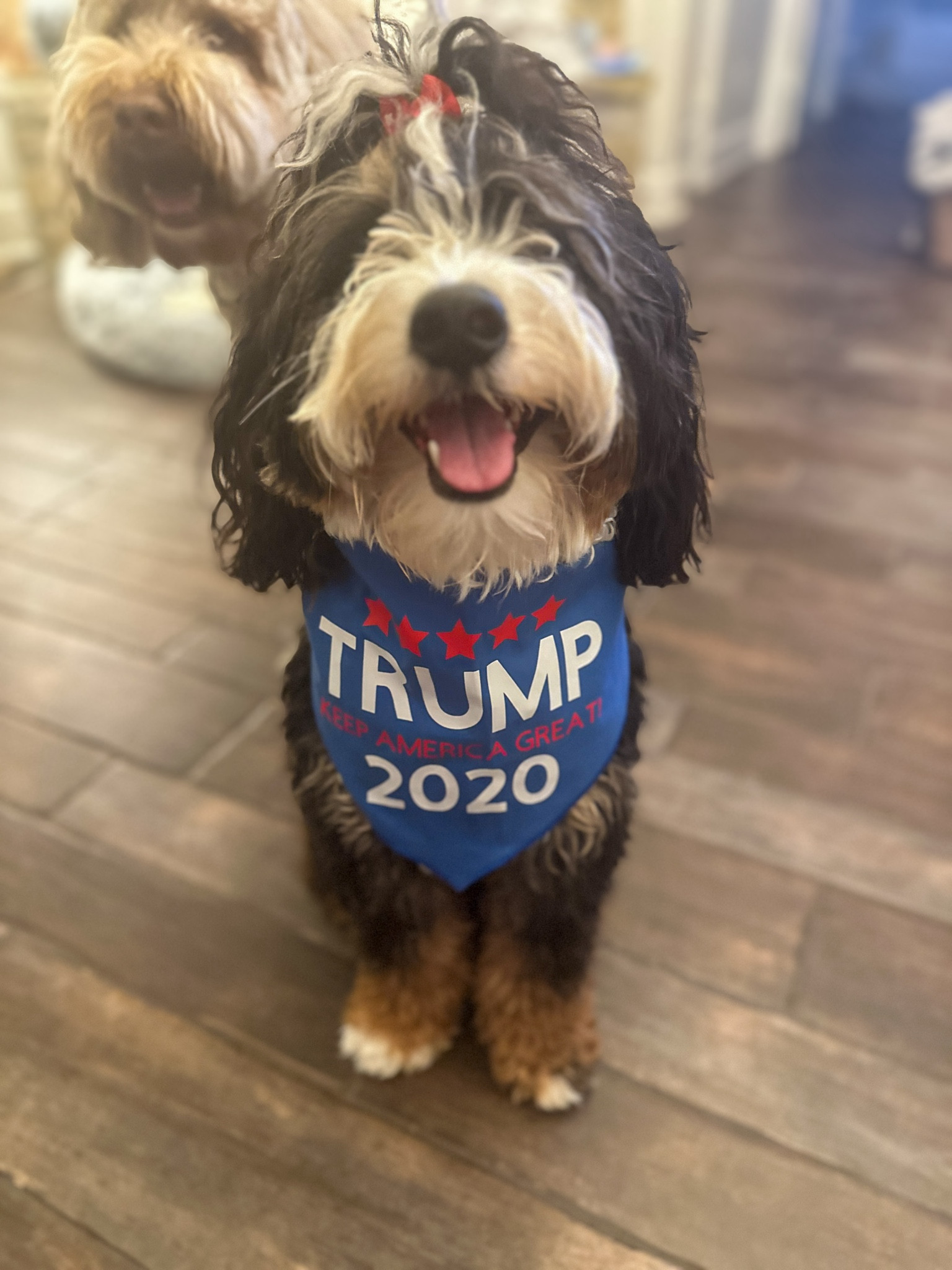 Coco for Trump 2024! #teamtrump