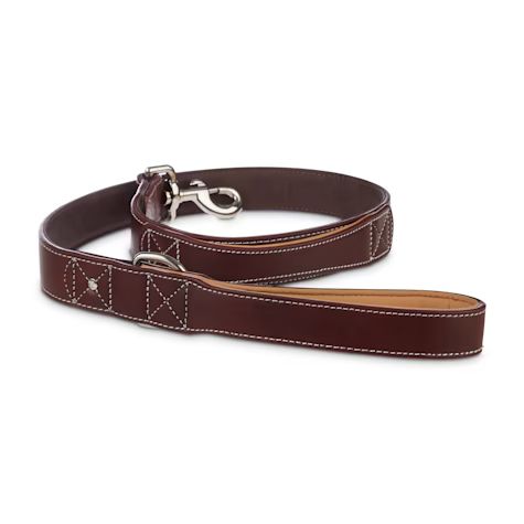 Bond & Co. Mahogany Leather Leash for Big Dogs, 4 ft. | Petco