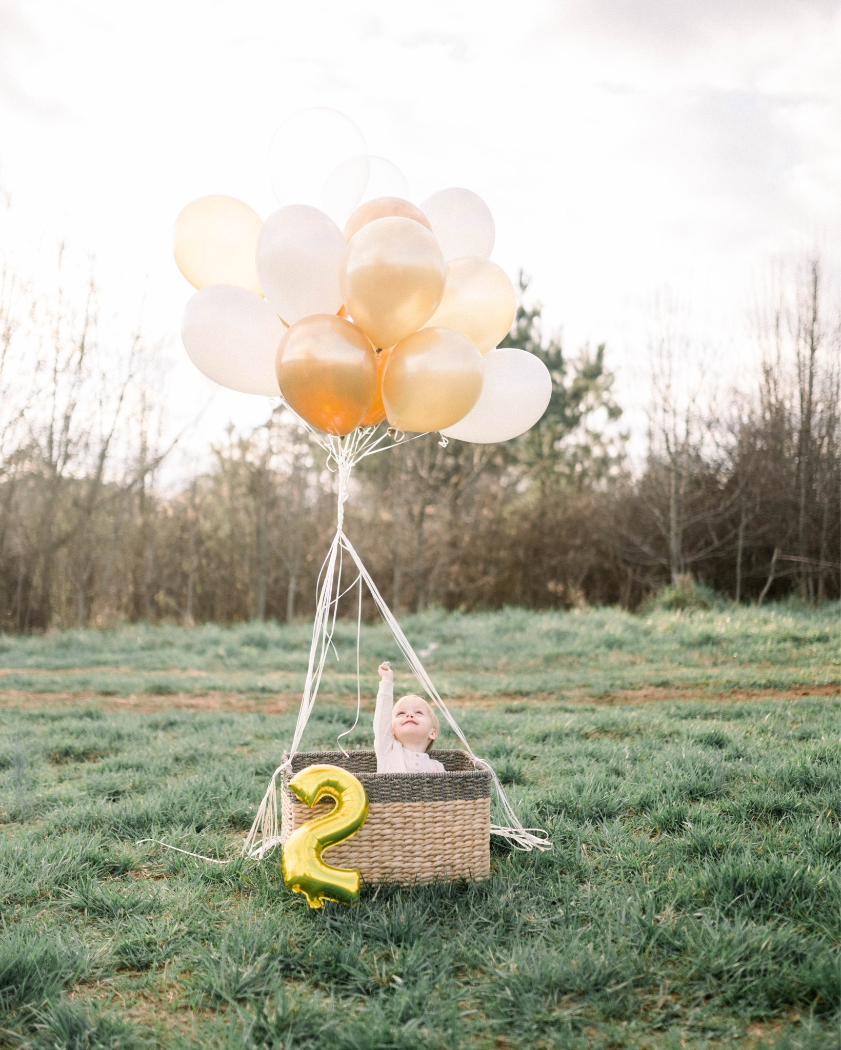 I loved this hot air balloon theme for their 2nd birthday party! “Up, up and away!  It’s Briggs and Blakely’s 2nd Birthday!”
#ltkbirthdaytheme #twinbirthdayparty

#LTKSeasonal #LTKParties #LTKKids