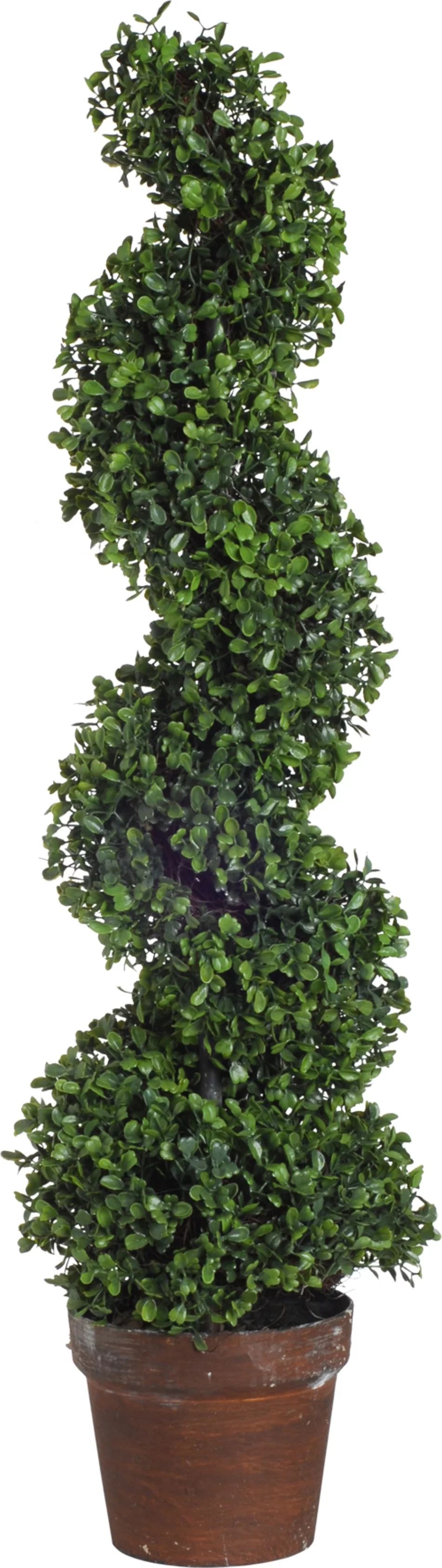 A&B Home Potted Spiral Boxwood Tree, 36" | Walmart (US)