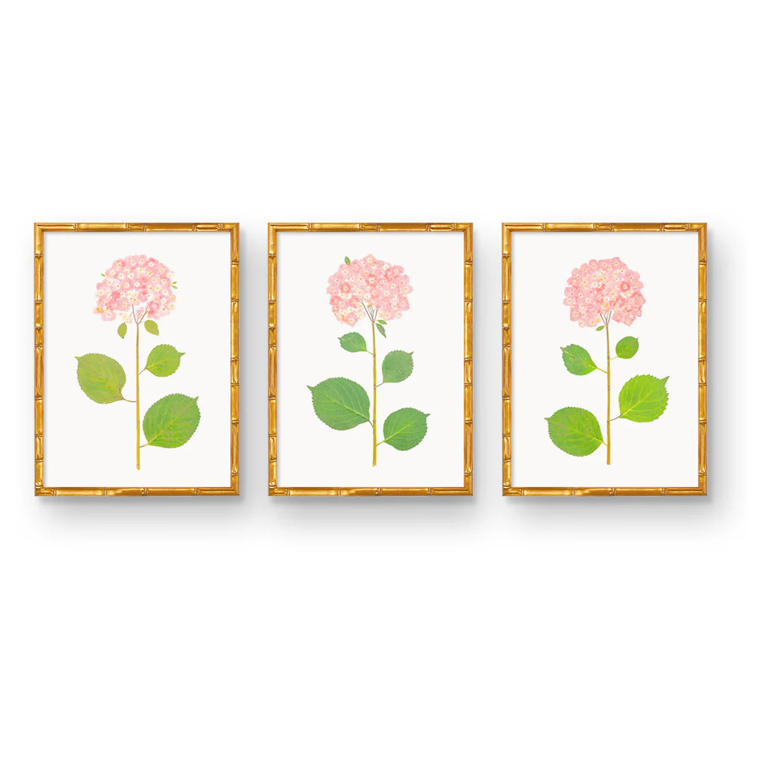 Natural Flower Hydrangea Art Prints | Hand Pressed | Original | Urban Garden Prints