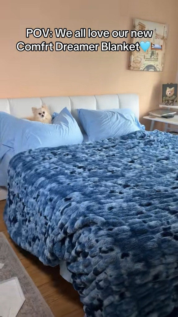 The Perfect Cozy Throw/Blanket. 🩵🛌😴🐾 @comfrt #comfrt 

#LTKHome #LTKdayinmylife