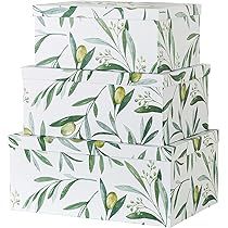Soul & Lane Decorative Storage Cardboard Boxes with Lids | Olive Branches - Set of 3 | Botanical Pap | Amazon (US)
