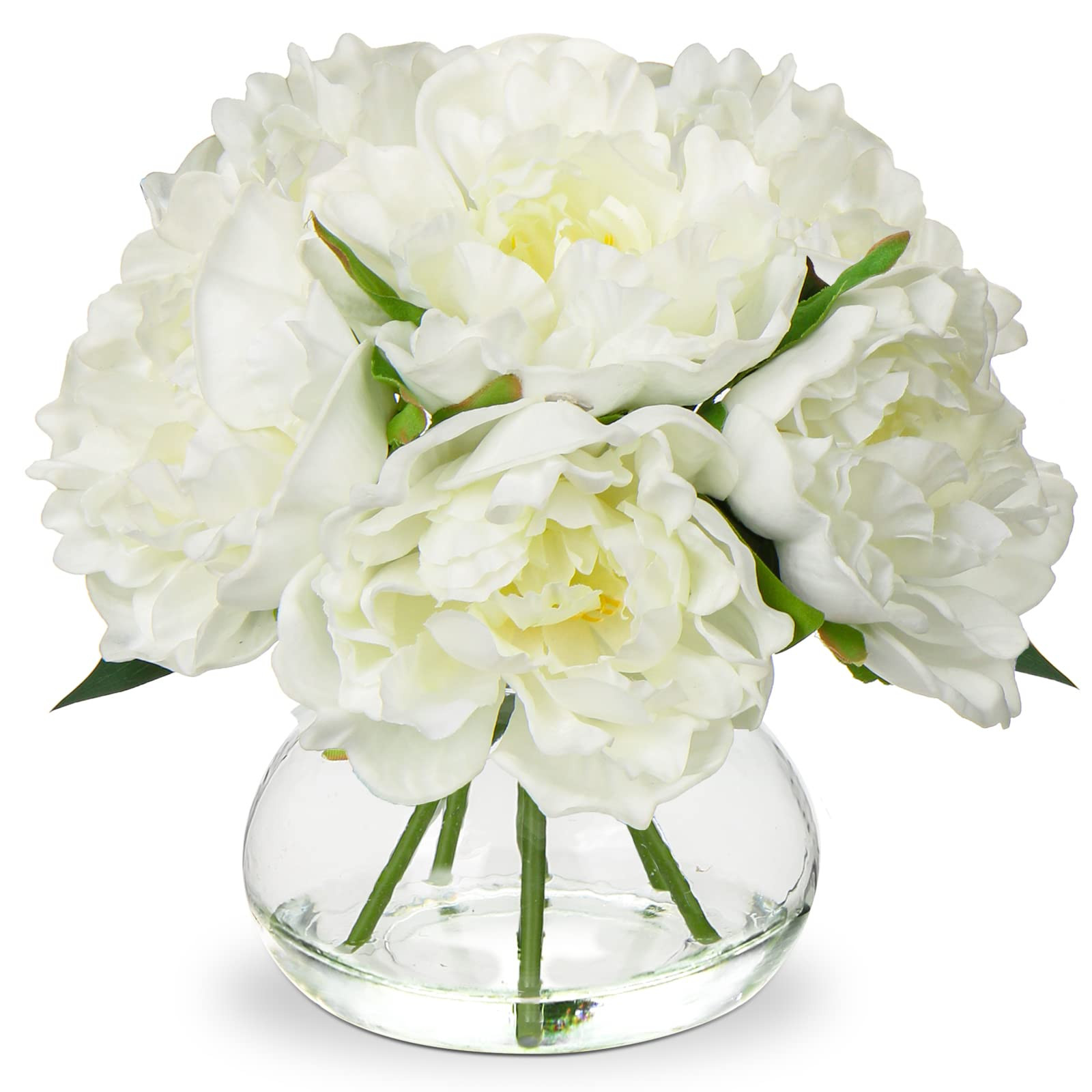 Peony, White | Amazon (CA)