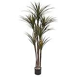 Amazon.com: Nearly Natural 5.5’ Giant Yucca Artificial UV Resistant Silk Trees Green : Home & K... | Amazon (US)