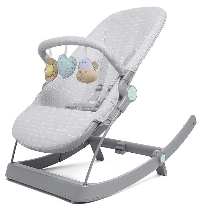 aden + anais 3-in-1 Infant to Toddler Transition Seat – Reclining Rocker, Bouncer & Seat for Ne... | Amazon (US)