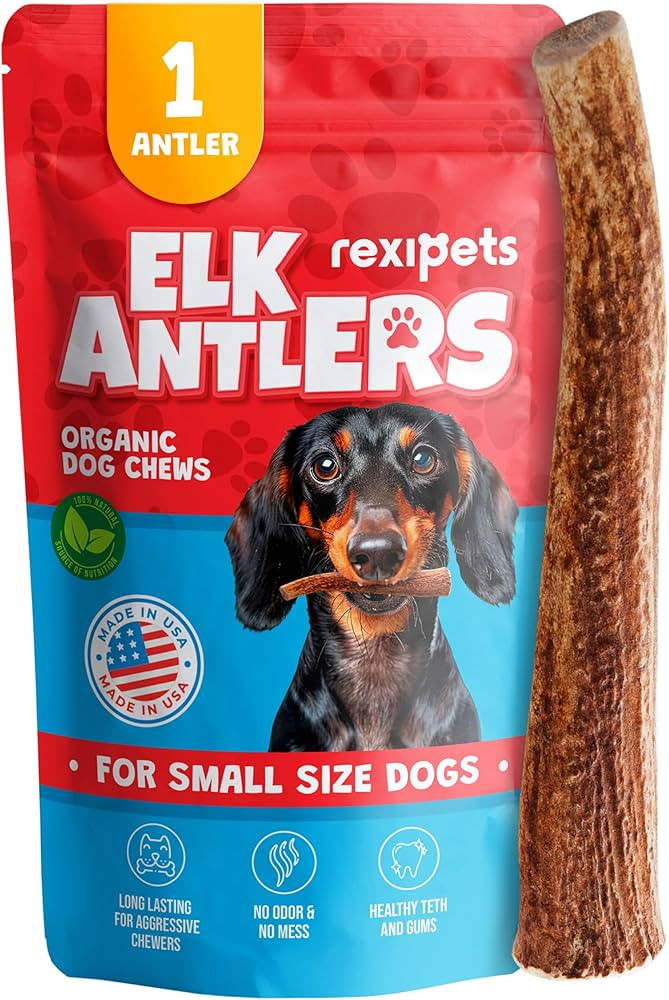 Elk Antler for Small Dogs - Grade A Long Lasting Chew for Aggressive Chewers - Elk Antlers Dog An... | Amazon (US)