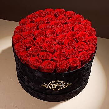 47 Flowers in a Luxury Suede Box, Birthday Gifts for Women, Preserved Flowers, Mothers Day Roses ... | Amazon (US)
