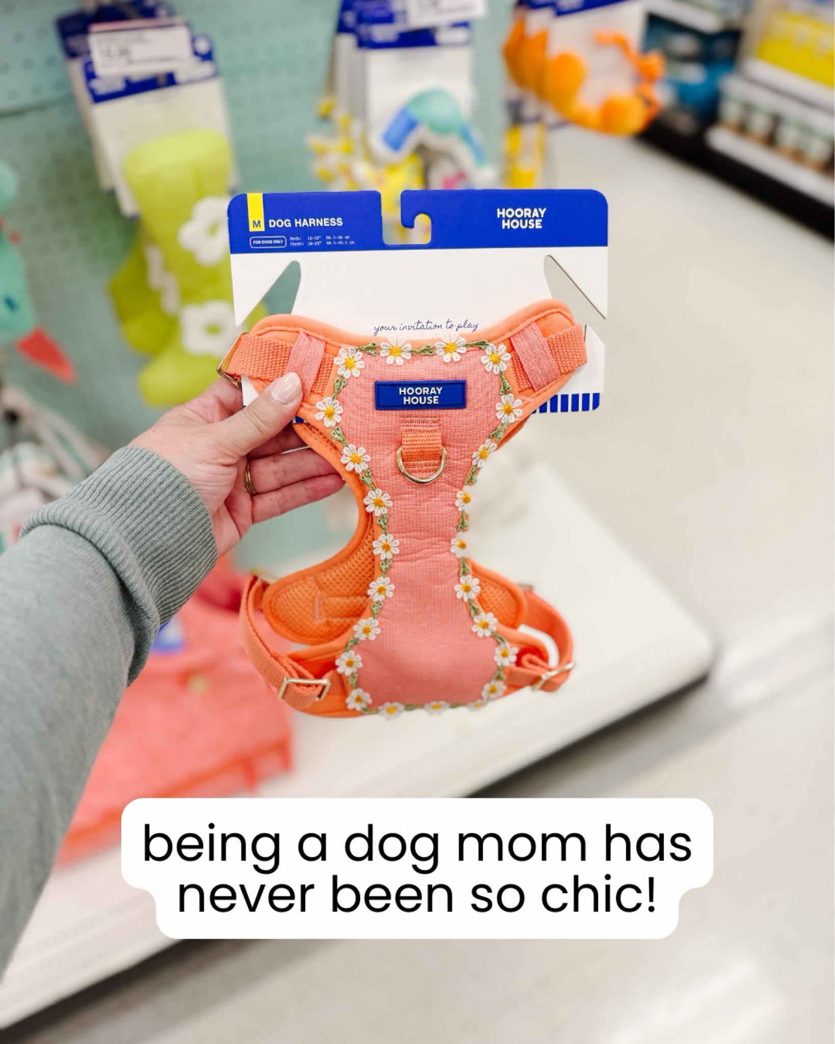 You’ve never seen pet accessories this cute before! This new collection at Target has the MOST adorable leash, harness, toys, and accessories! 