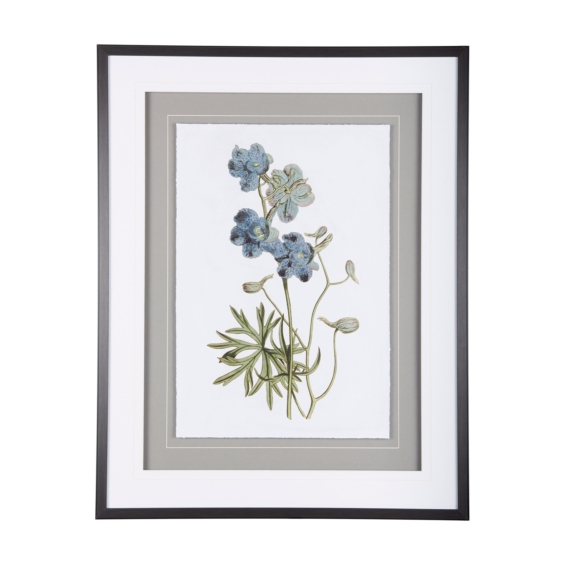 Soft Blue Botanicals V Framed Art Print | Bed Bath & Beyond