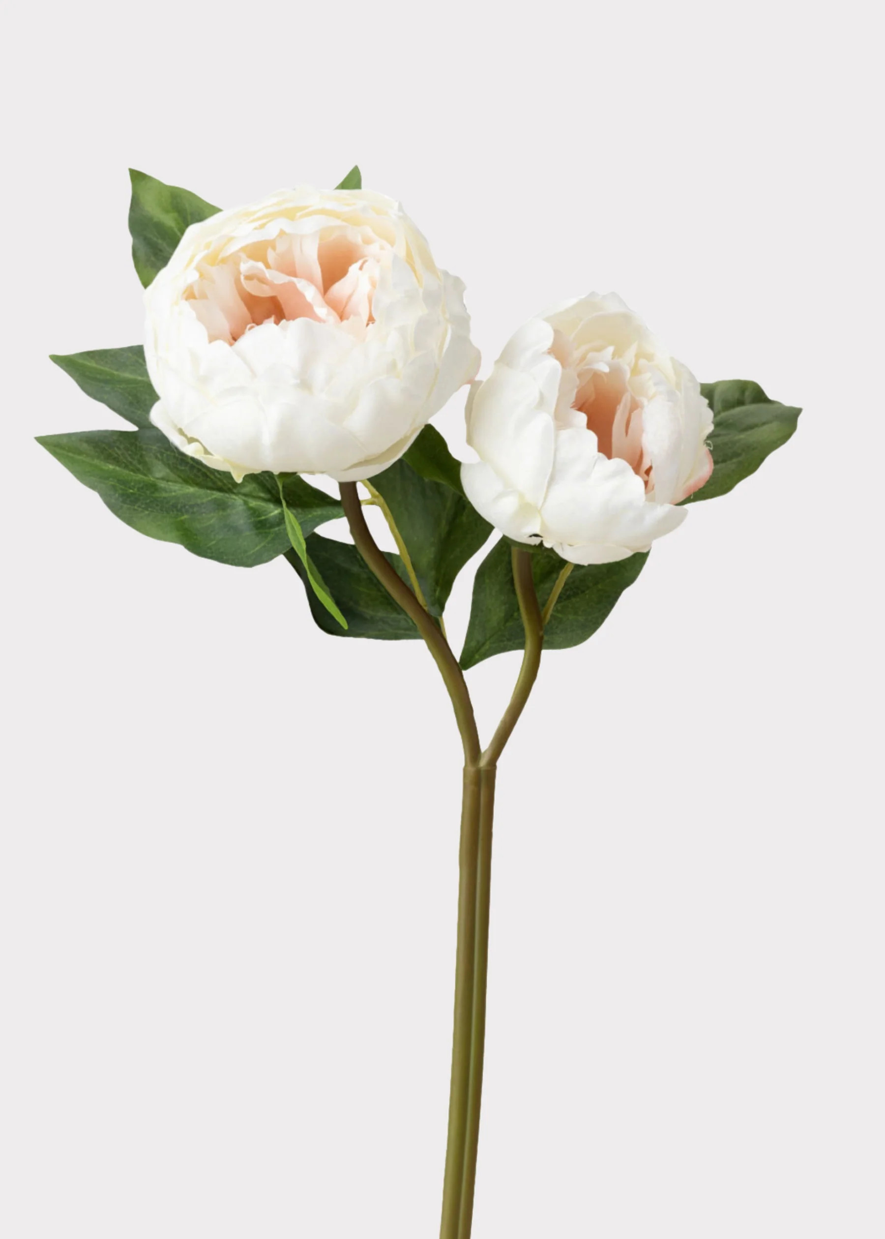 Cream Peony Stem | Artificial Wedding Flowers | Afloral | Afloral