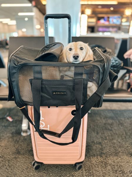 Dog carrier bag
Travel bag
Carry on luggage 
Summer vacation 
Spring break 

#LTKSeasonal #LTKfamily #LTKtravel