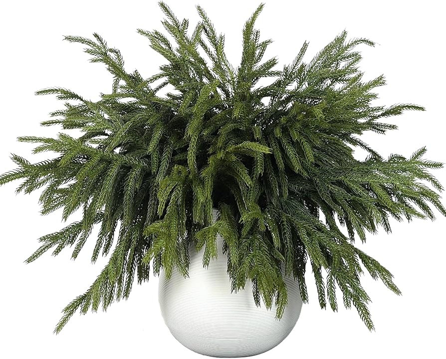 32 Pcs Real Touch Norfolk Pine Branch -18" Artificial Christmas Green Plants Branches Faux Greene... | Amazon (US)