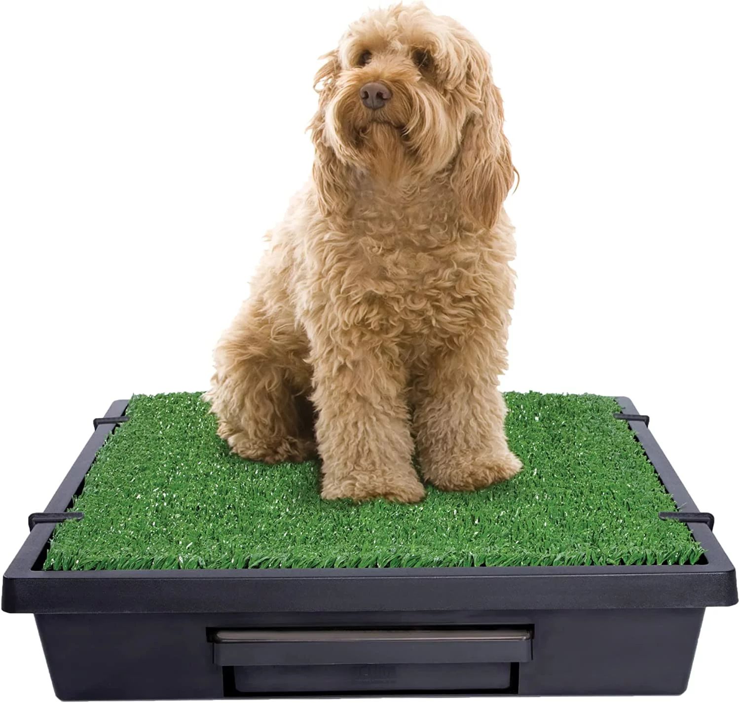 MZDXJ Pet Loo Portable Outdoor or Indoor Dog Potty - Reusable Dog Grass Pad with Tray - Alternati... | Walmart (US)