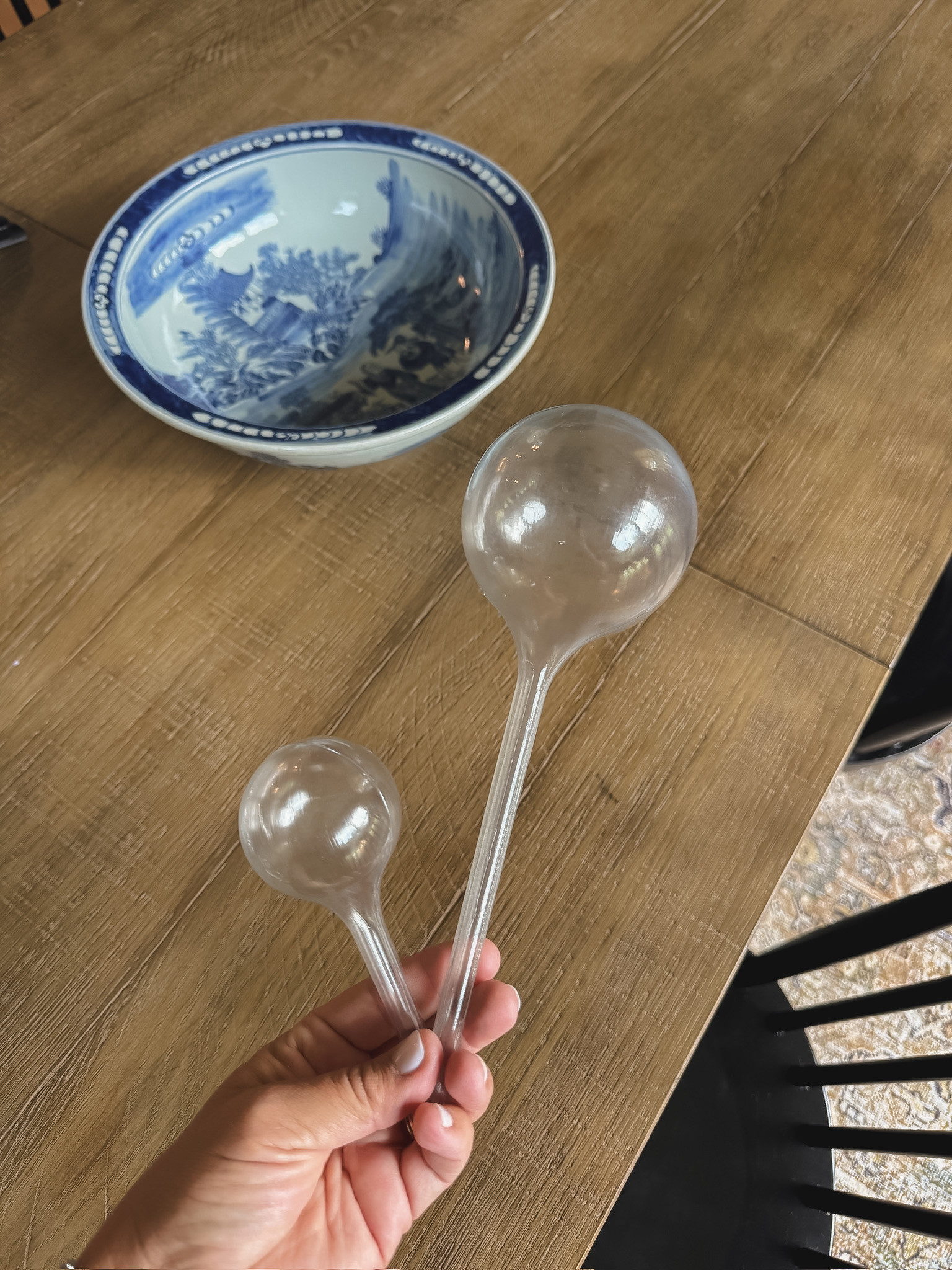 Clear Plant Watering Globes

#LTKHome