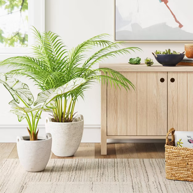 Large Rustic Handled Planter - Threshold™Designed with Studio McGee | Target