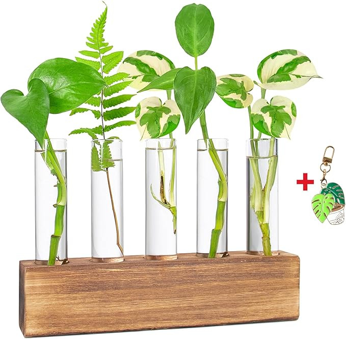 KAXYEW Plant Propagation Station, Plants Propagation Tubes, Gifts for Plant Lovers, Plants Cuttin... | Amazon (US)
