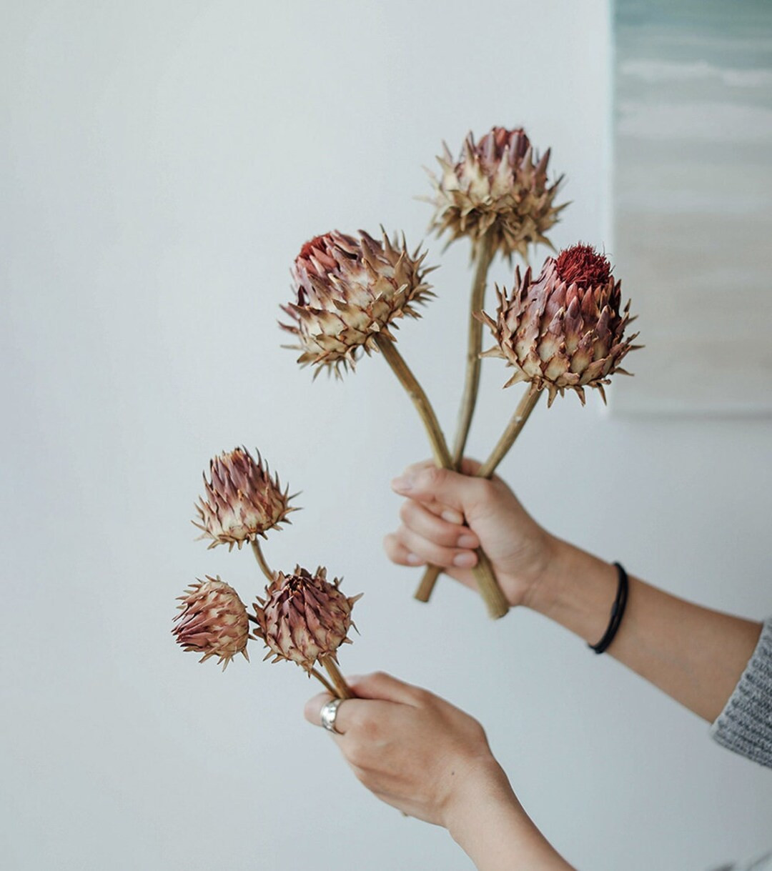 natural African Spiny flowers，dry protea flowers，dry flowers for vase，flowers arrangement... | Etsy (US)
