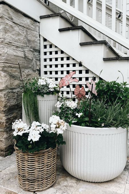 I am beyond obsessed with these planters!! And to think I almost paid significantly more for almost identical ones at Pottery Barn. Do not miss out on these!!

#landscaping #flowerplanters #athome

#LTKHome #LTKU #LTKSeasonal