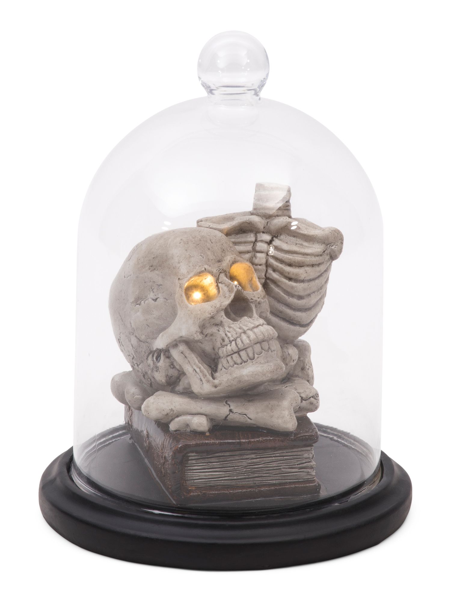 8in Led Lighted Skull In Cloche | Halloween | Marshalls | Marshalls