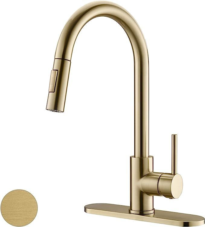 havin Gold Kitchen Faucet,Kitchen Faucet with Pull Down Sprayer Head,Spot Free,Including 10 inch ... | Amazon (US)