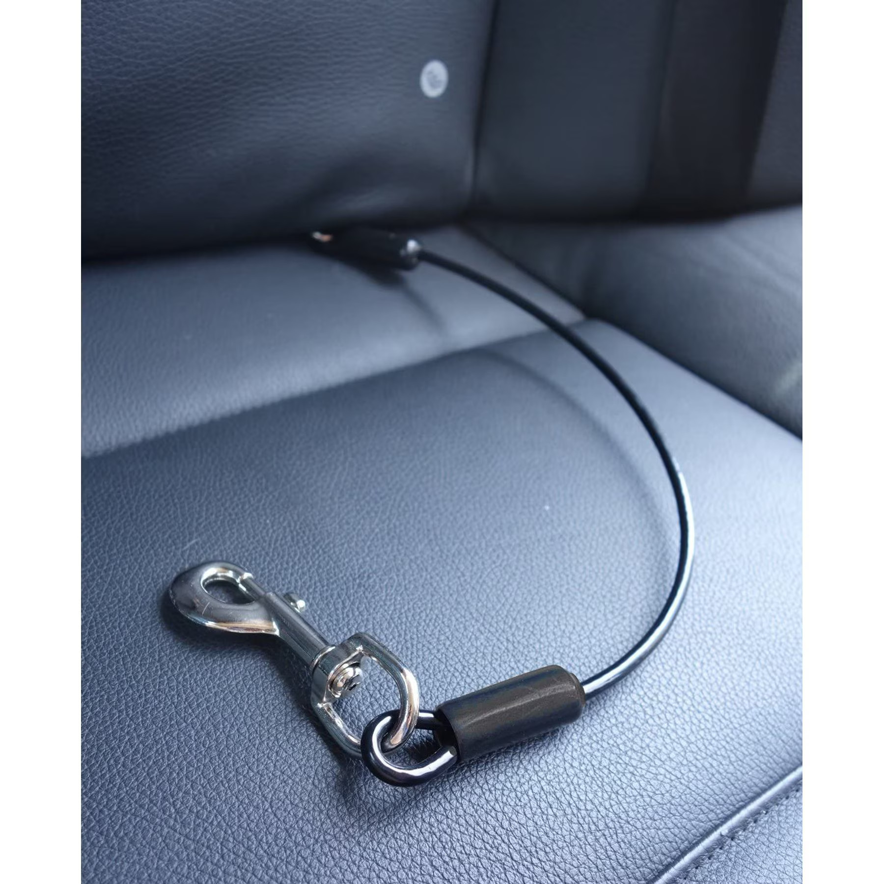Leash Boss Heavy Duty No-Chew Dog Car Restraint Seatbelt, 36-in | Chewy