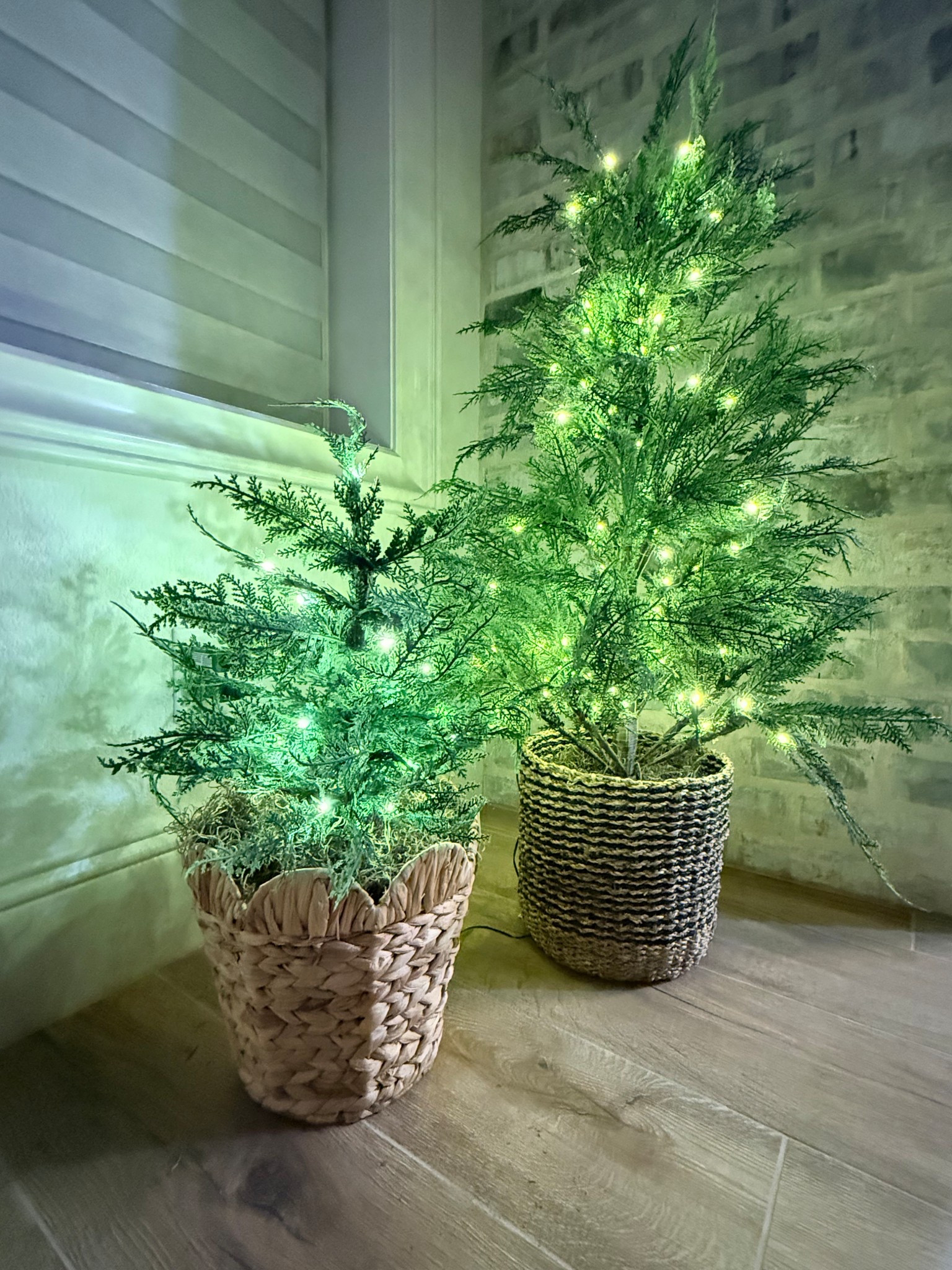 The viral cypress tree now comes in a two foot version.  

#LTKStyleTip #LTKHome #LTKSeasonal
