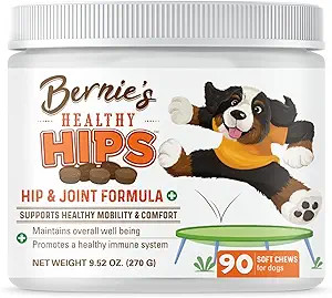 Bernie's Healthy Hips - Daily Dog Hip and Joint Supplement - 90 Soft Chews - Reduce Pain, Encoura... | Amazon (US)