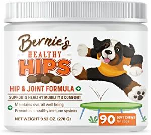 Bernie's Healthy Hips - Daily Dog Hip and Joint Supplement - 90 Soft Chews - Reduce Pain, Encoura... | Amazon (US)