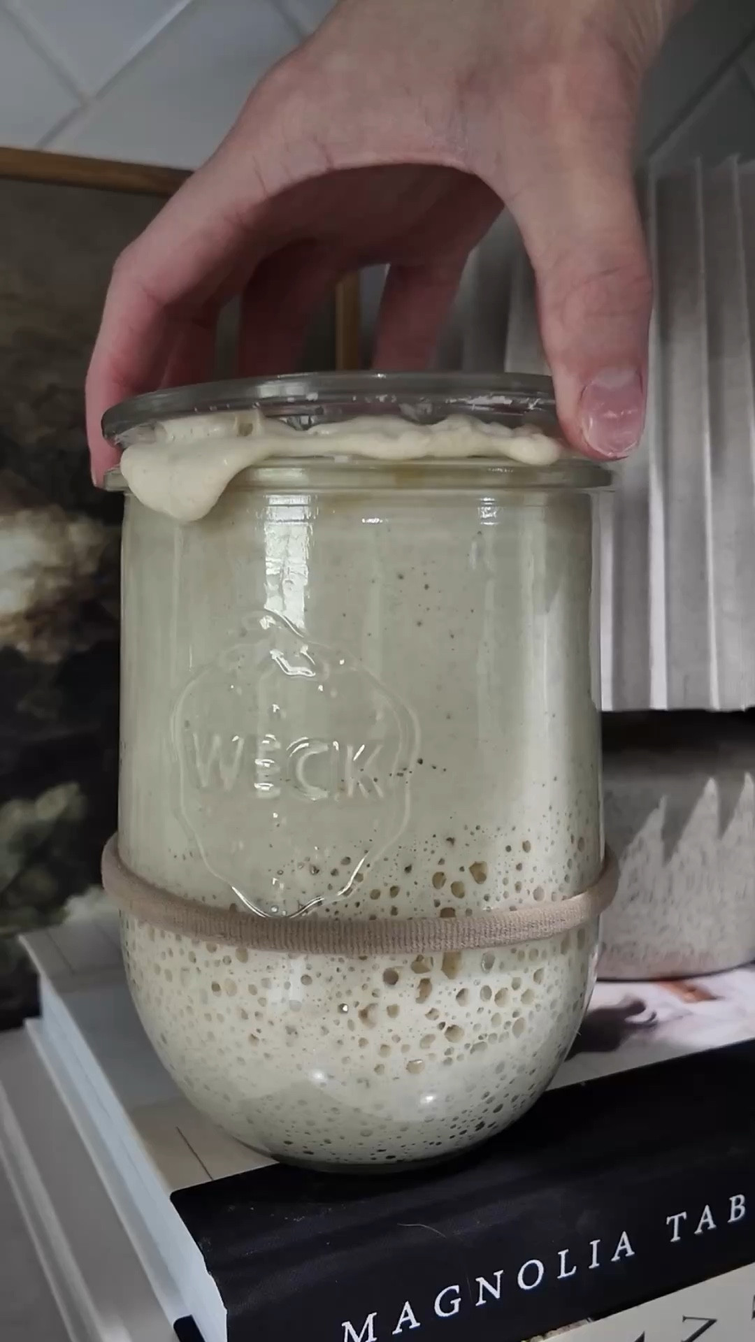 The easiest way of starting a sourdough starter! Eve is a small mama owned business on Etsy :)

Sourdough | sourdough starter | sourdough starters | bread | baking 
