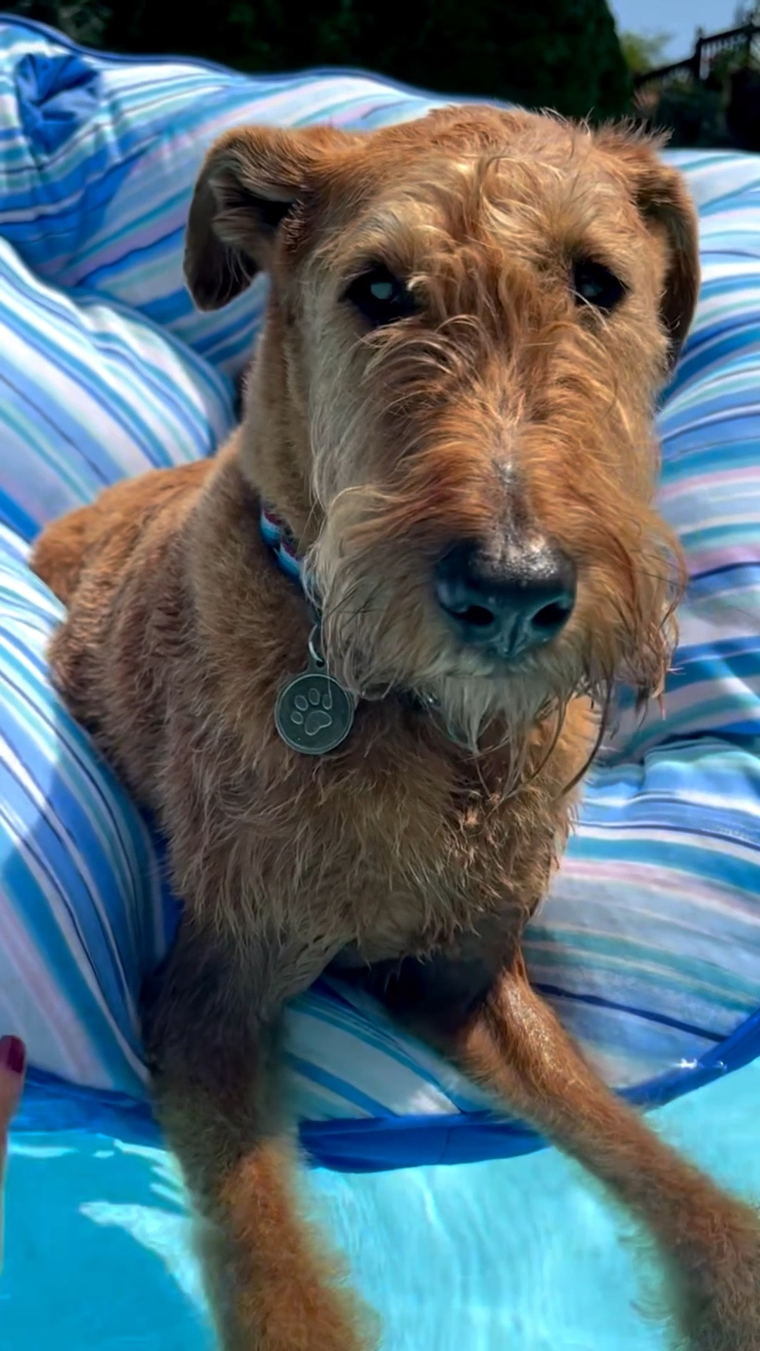 The best pool chairs are on sale! These floating bean bag chairs were a huge hit this summer with my family and now I’m gonna get two more! 😍☀️

#LTKHome #LTKParties #LTKFindsUnder100