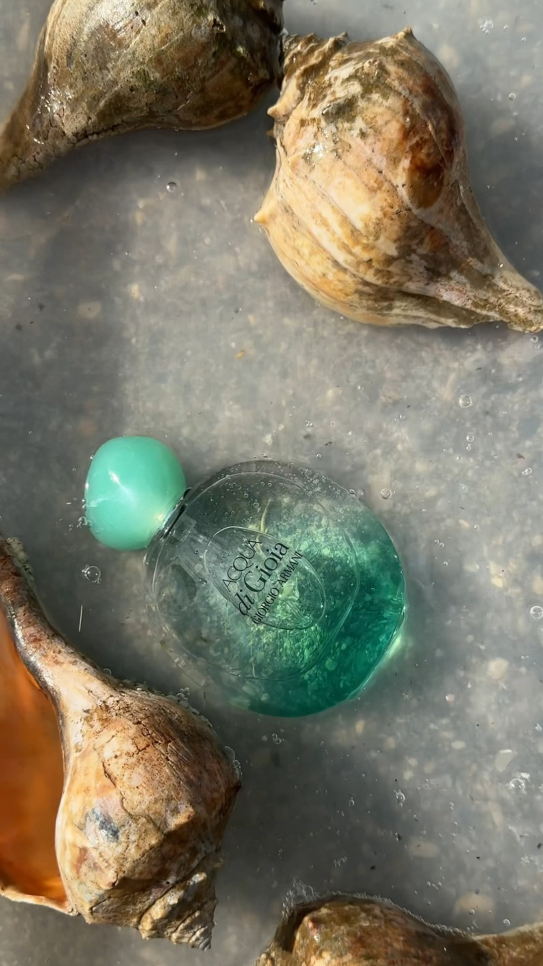 A fragrance that feels like you’re surrounded by the ocean making waves everywhere you go

#LTKBeauty #LTKU #LTKSeasonal