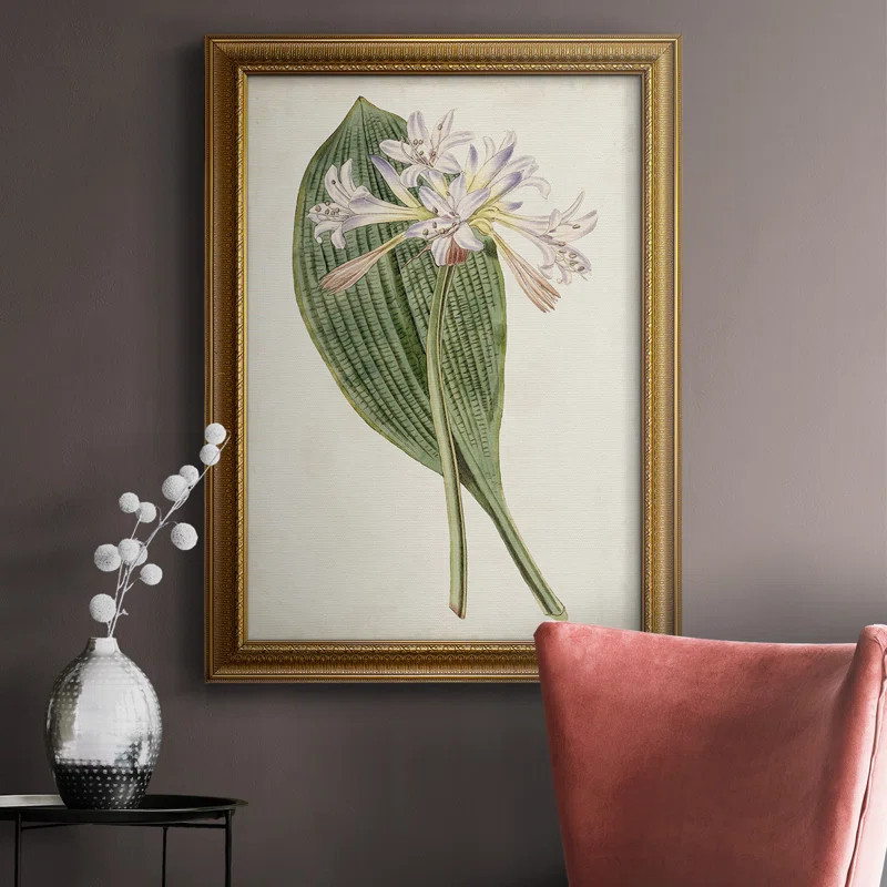 Antique Botanical Collection IV Framed On Canvas Print | Wayfair North America