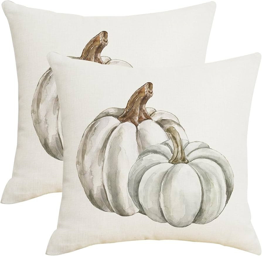 Fall Autumn White Pumpkin Throw Pillow Covers 18x18 Inch Set of 2 Thanksgiving Teal Grey Pumpkins... | Amazon (US)