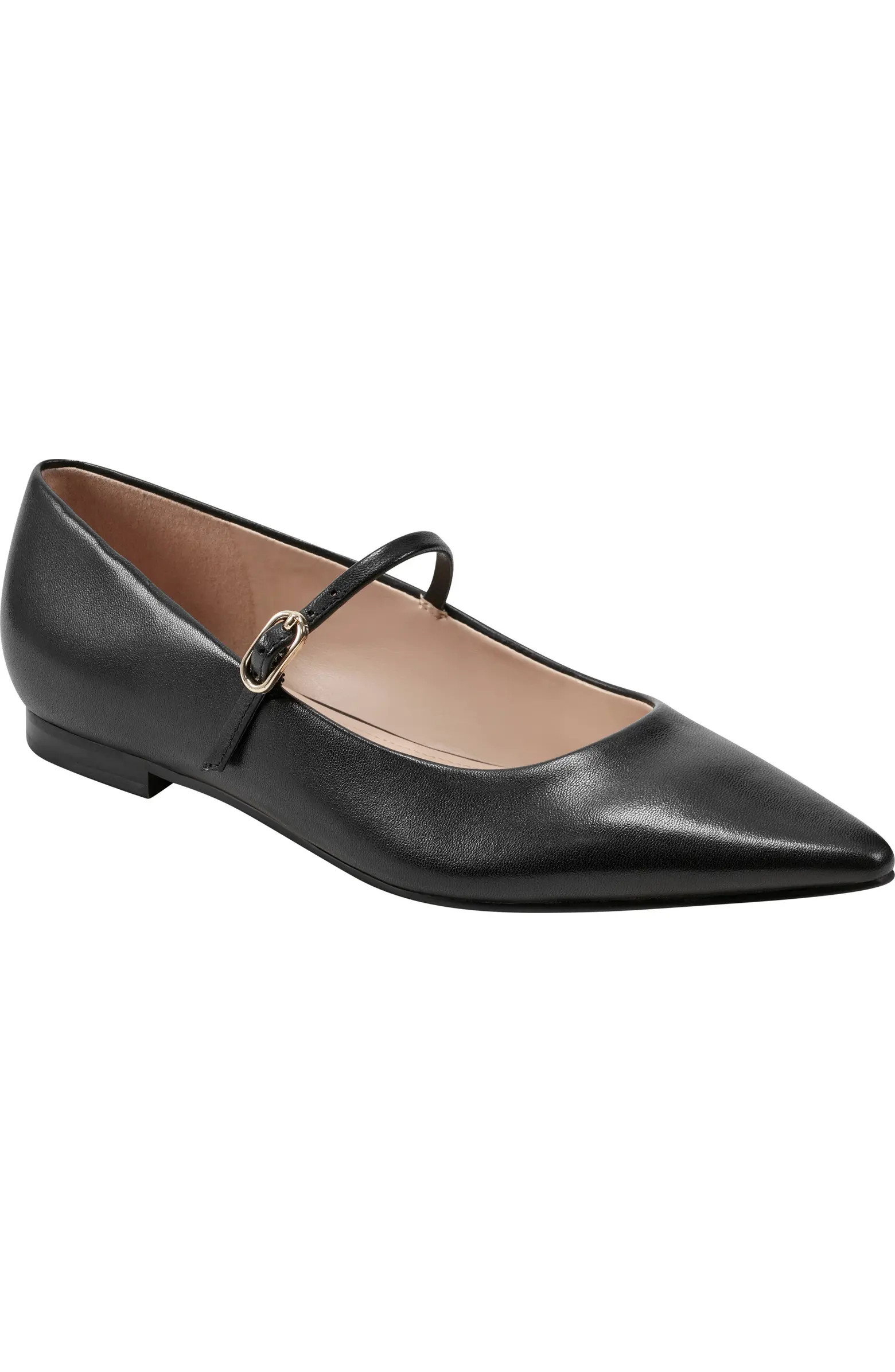 Daner Pointed Toe Flat (Women) | Nordstrom Rack