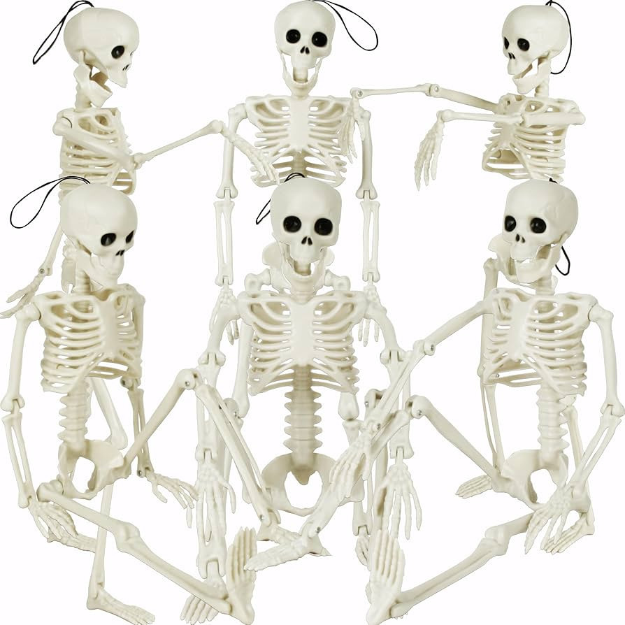 6 Pcs 16" Halloween Skeleton Decoration, Full Body Poseable Joints Hanging Skeletons for Graveyar... | Amazon (US)