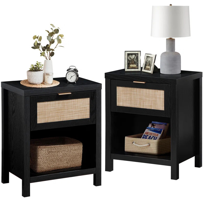 Alayha 19.7'' W Nightstand (Set of 2) | Wayfair North America